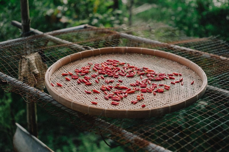 Farm-to-Table Cooking Workshop